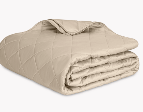 Nocturne Quilted Sham-Khaki-Euro