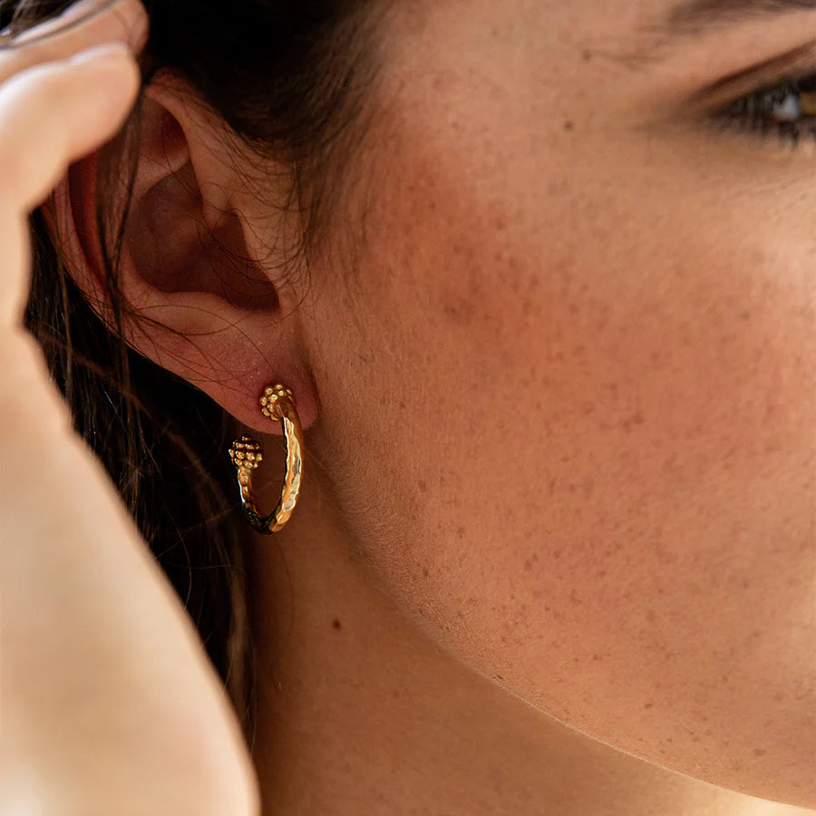 Berry Small Hoop Earrings - Gold